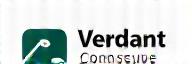 Logo blanc de Verdant Conseil